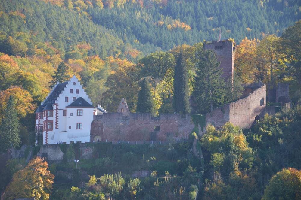Foto 12 von 23: Panorama-Blick Miltenberg, 3 Pers., zentral, am Main, Terrasse, Bootverleih, P