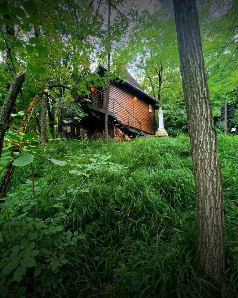 Foto 8 von 65: One-Bedroom Chalet
