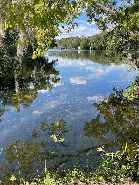 Foto 11 von 36: Schnorcheln Sie mit den Seekühen in Ihrem Hinterhof - Kajaks inklusive