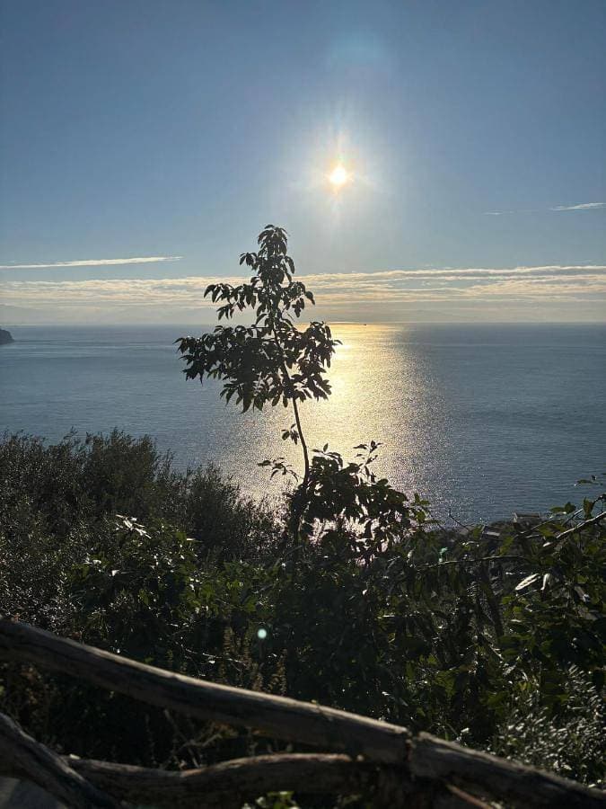 Foto 5 von 23: Double or Twin Room with Sea View and Terrace