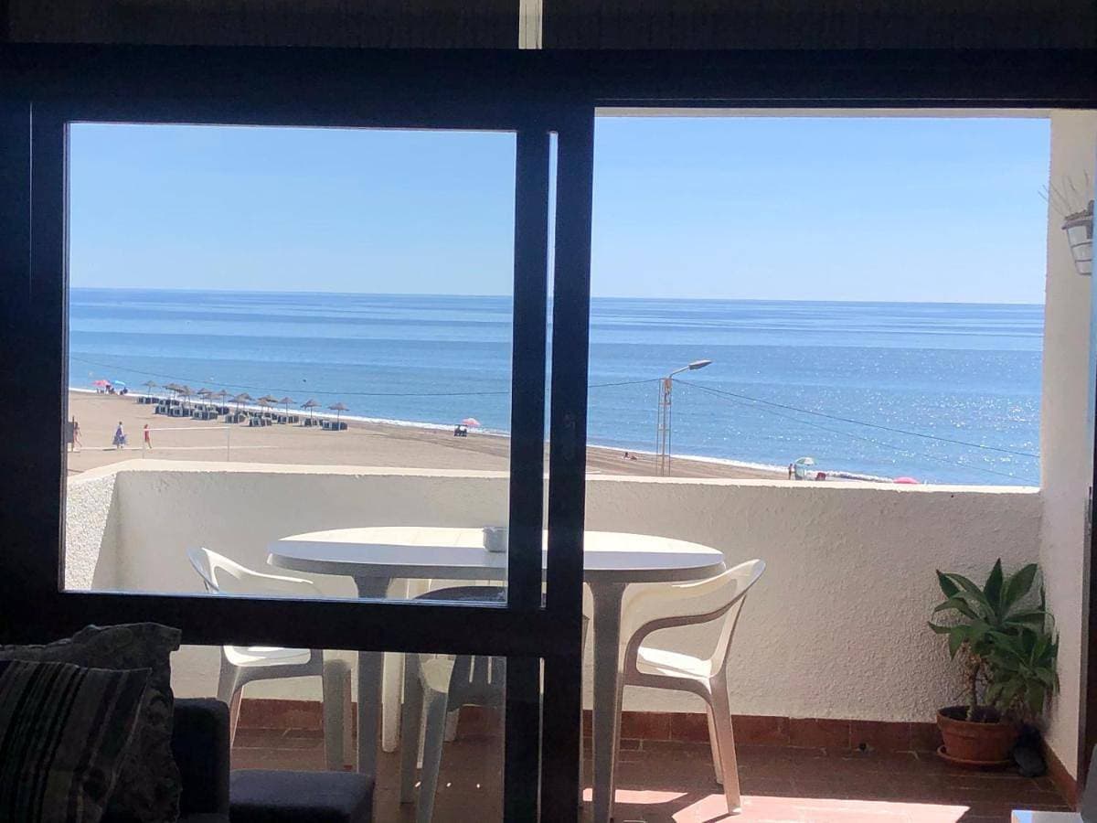 Bellamar 1
