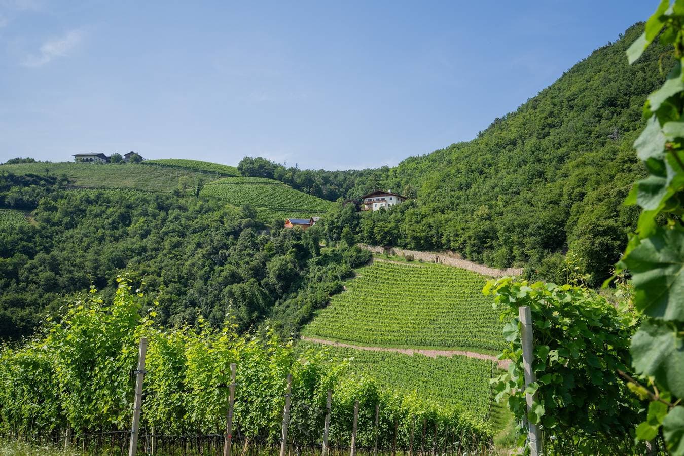 Foto 6 von 62: Ferienwohnung 'Prackfolerhof Berty Skuber' mit Bergblick, Gemeinschaftsterrasse und Wi-Fi