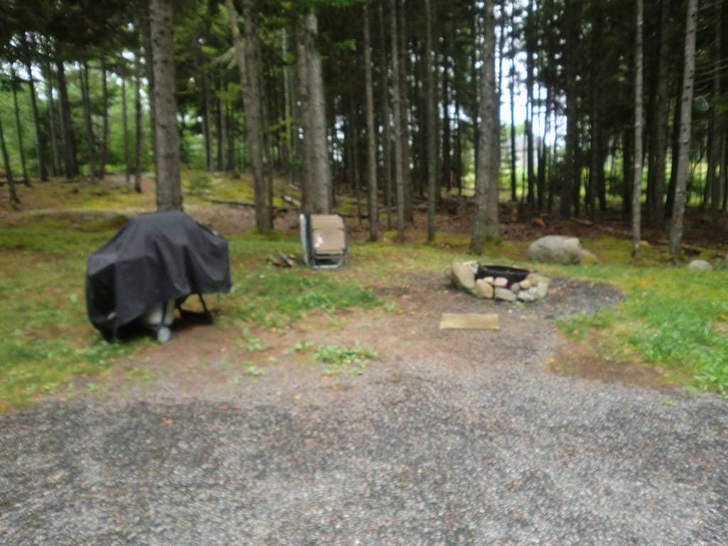 Foto 8 von 15: Acadia Explorer Cabin Rentals