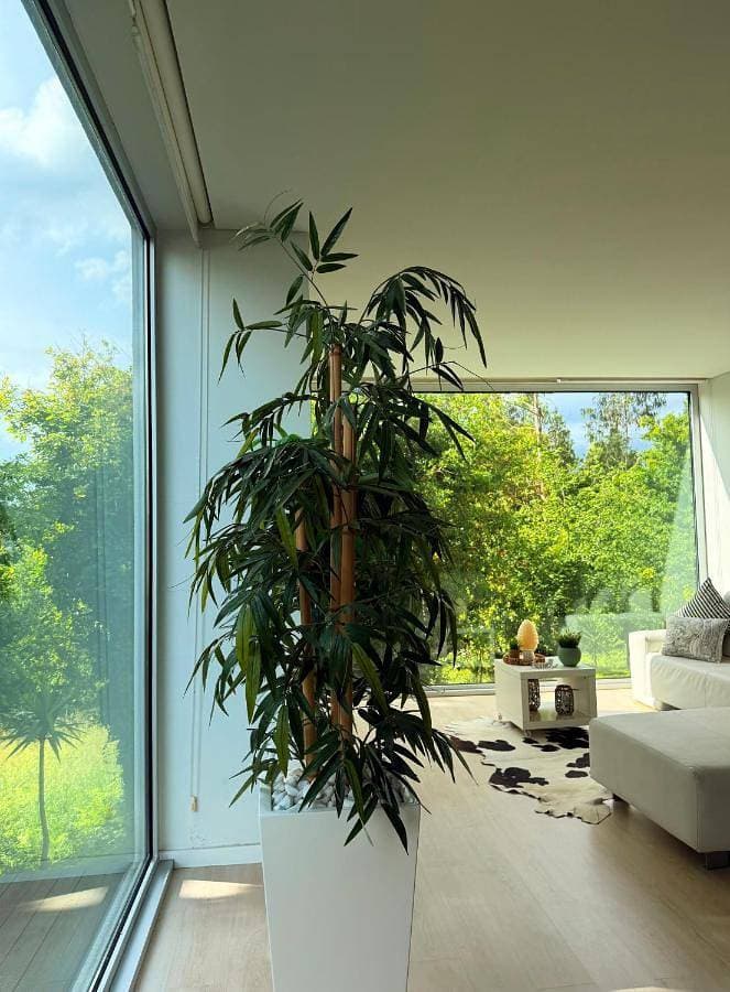 Foto 5 von 41: Holiday Home