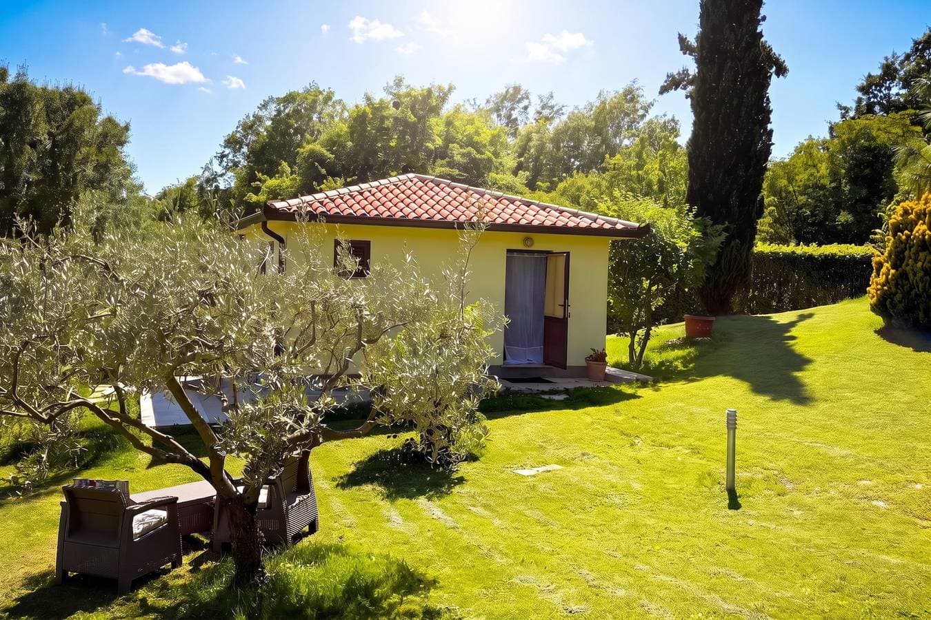 Foto 13 von 33: Marisa Olive Grove - App Terra