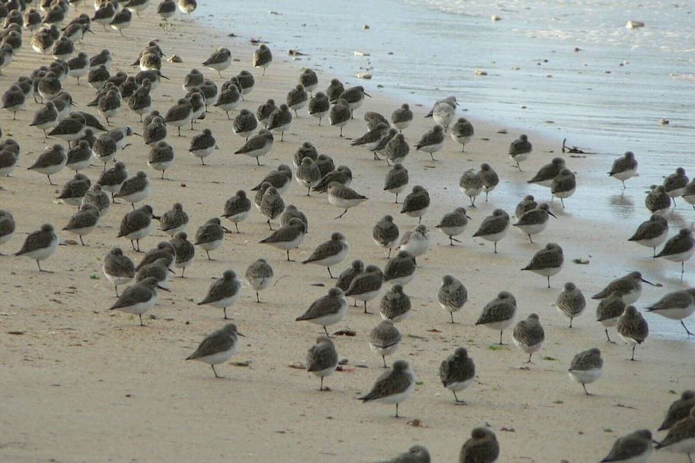 Foto 13 von 14: Wohnung voller Charme am Meer