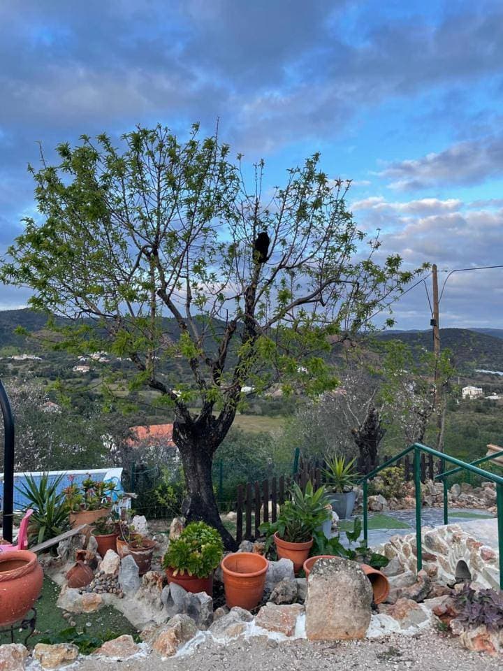 Foto 6 von 28: Holiday Home