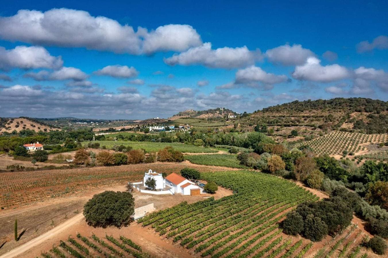 Foto 11 von 11: Ferienwohnung 'Alicante' mit Bergblick, Wi-Fi und Klimaanlage