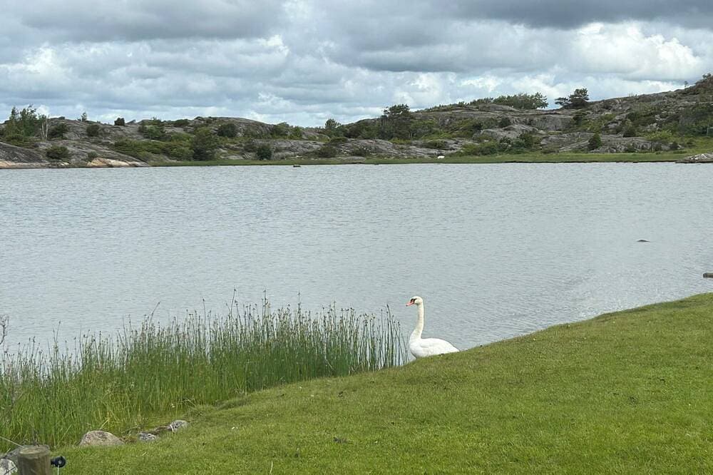 Foto 11 von 16: Ein Ferienhaus an der Westküste von Göteborg Archipel mit eigenem Strand