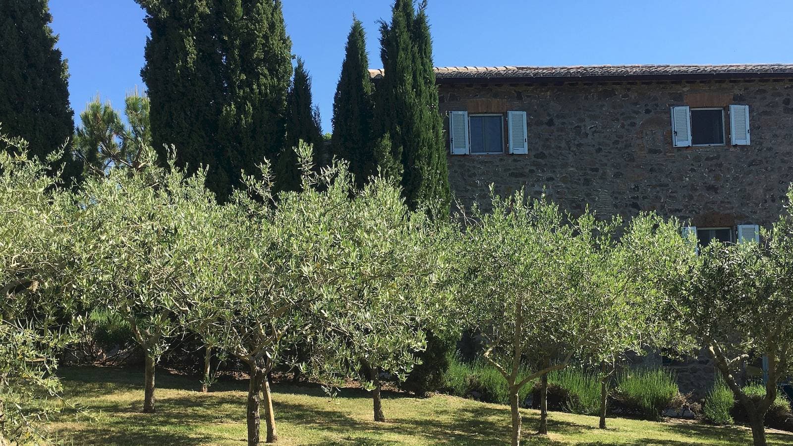 Foto 7 von 42: Villa für 14 Personen mit Garten