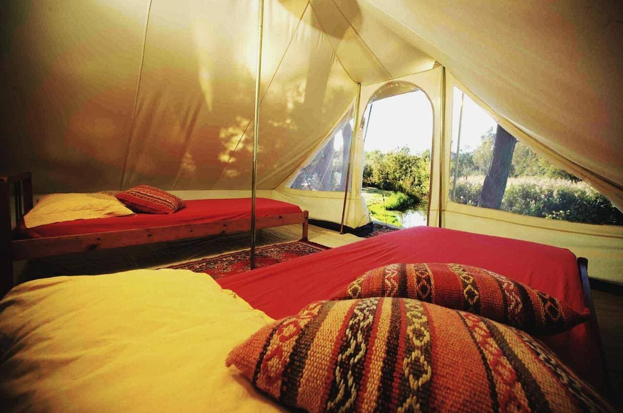 Foto 11 von 13: Tent