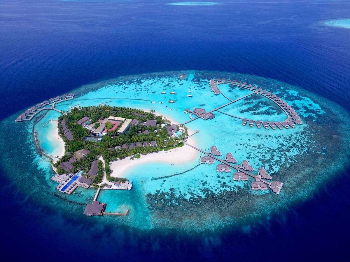 Machchafushi Island Resort & Spa Maldives, The Centara Collection - Stay 4 nights or more, enjoy 25 percent off Seaplane transfers, valid for stays until 31 October 2026 1