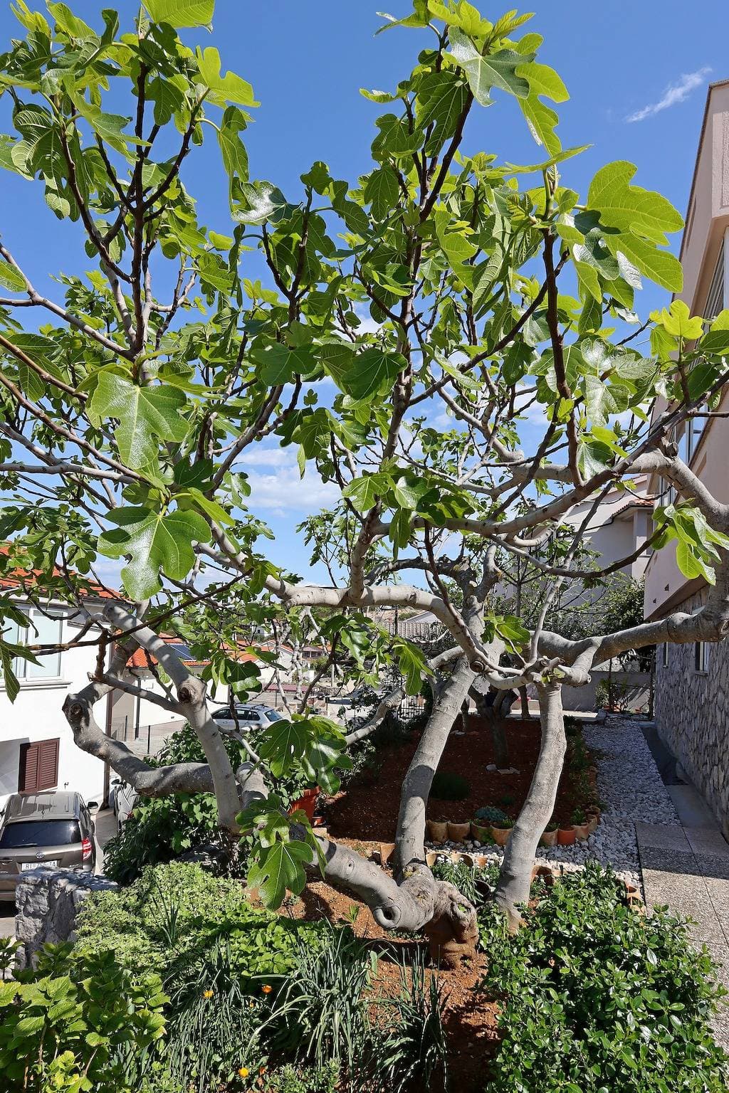 Foto 9 von 23: Zimmer mit Terrasse und Meerblick Vrbnik, Krk S-5299-a