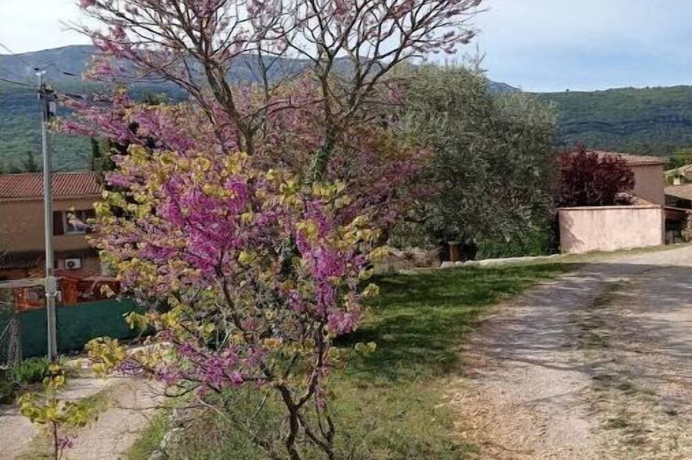 Foto 10 von 30: Le Gîte La Maison De Papou Le Tilleul