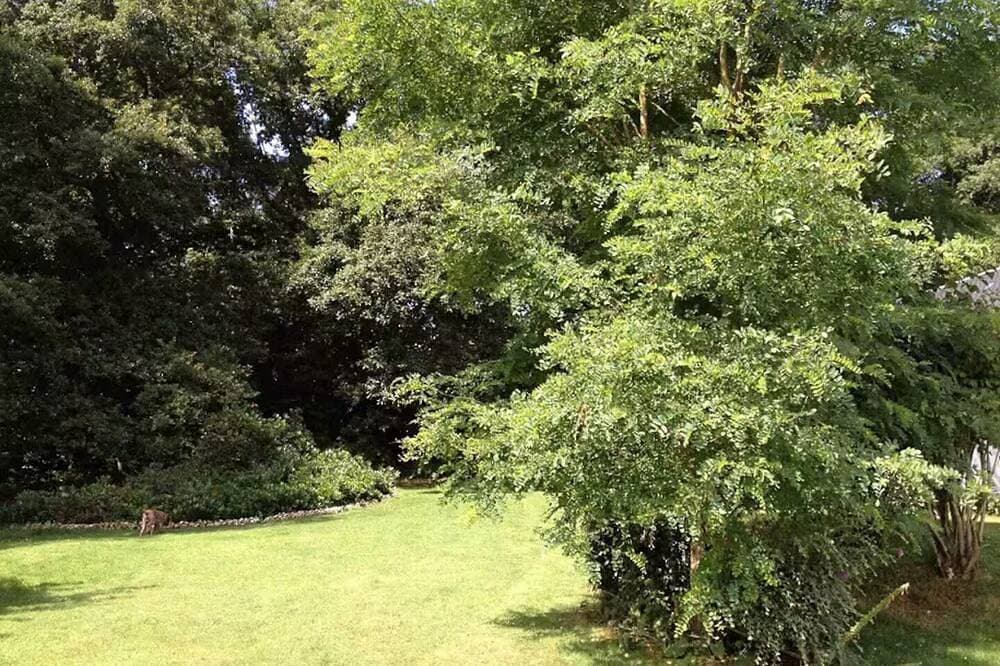 Foto 7 von 10: La roulotte du petit bois