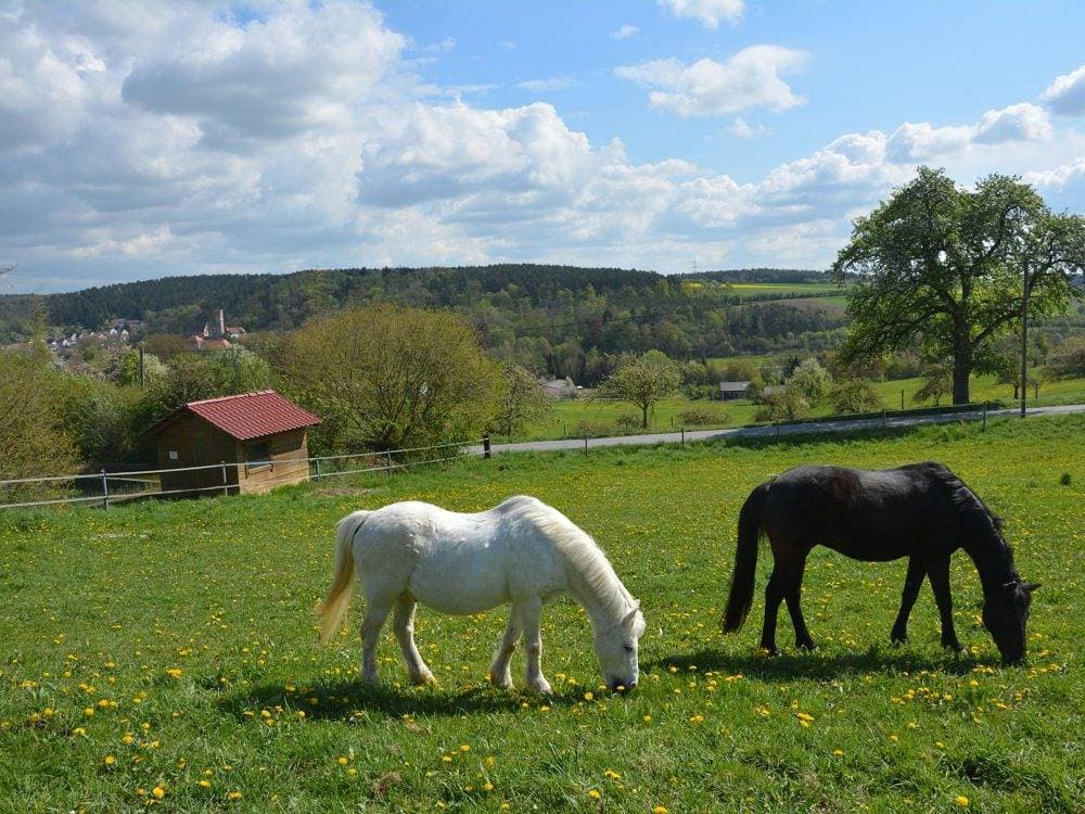 Foto 4 von 28: Ferienhof Pfeiffer - Fuchsbau