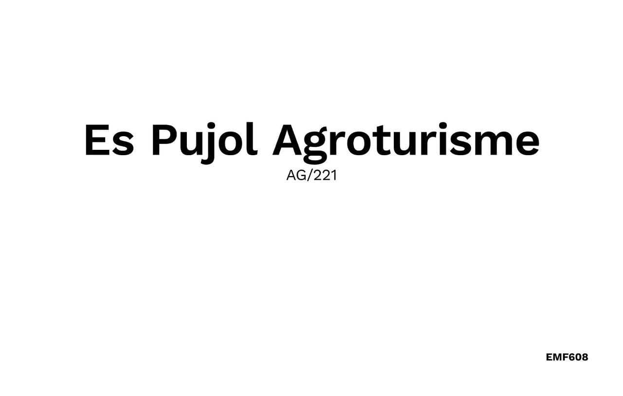 Es Pujol Botiga 1