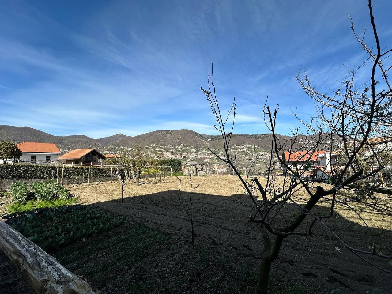 Foto 8 von 24: Ferienwohnung 'Ischia Con Terrazza' mit Privatterrasse, Gemeinschaftsgarten und Wi-Fi
