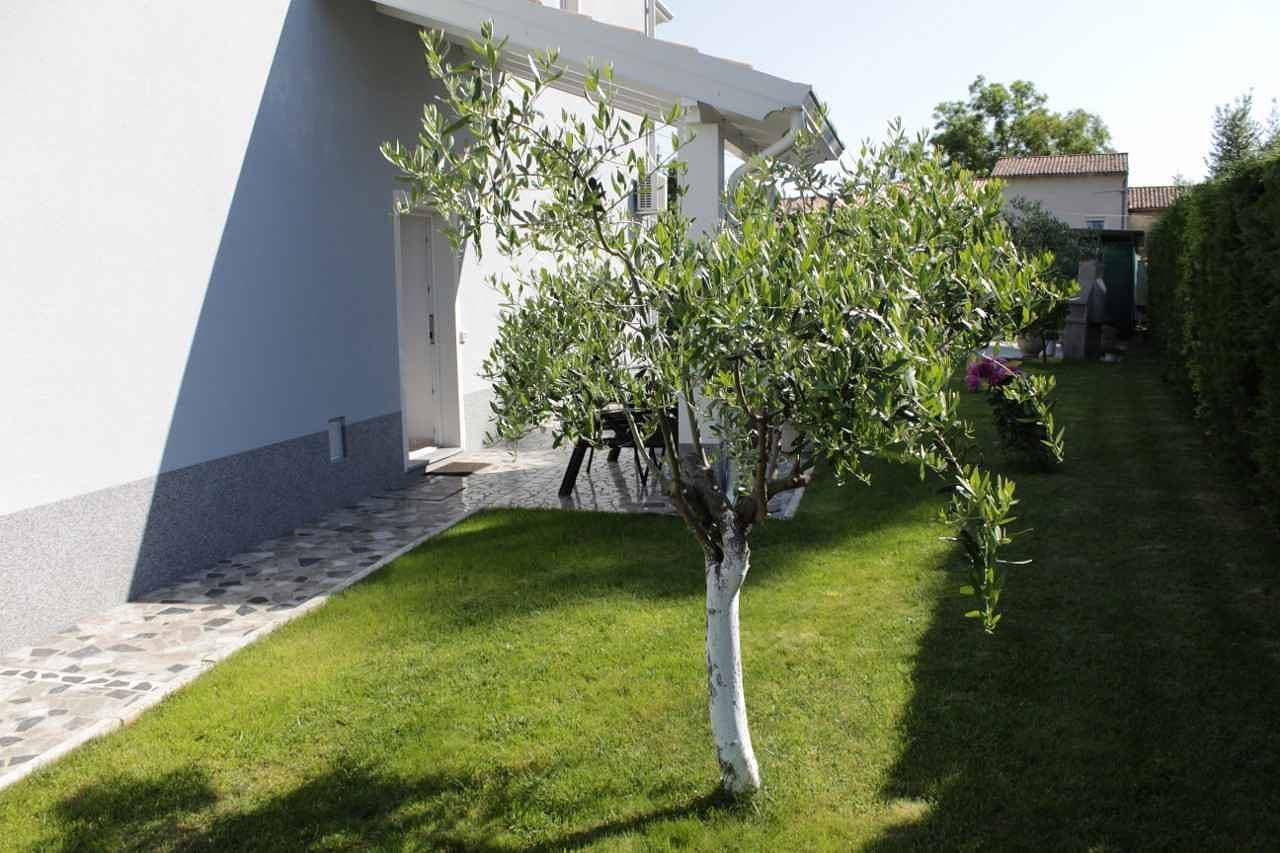 Foto 3 von 14: Ferienwohnung mit Terrasse und Grill
