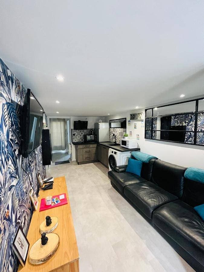 Appartement Le Transbordeur 1