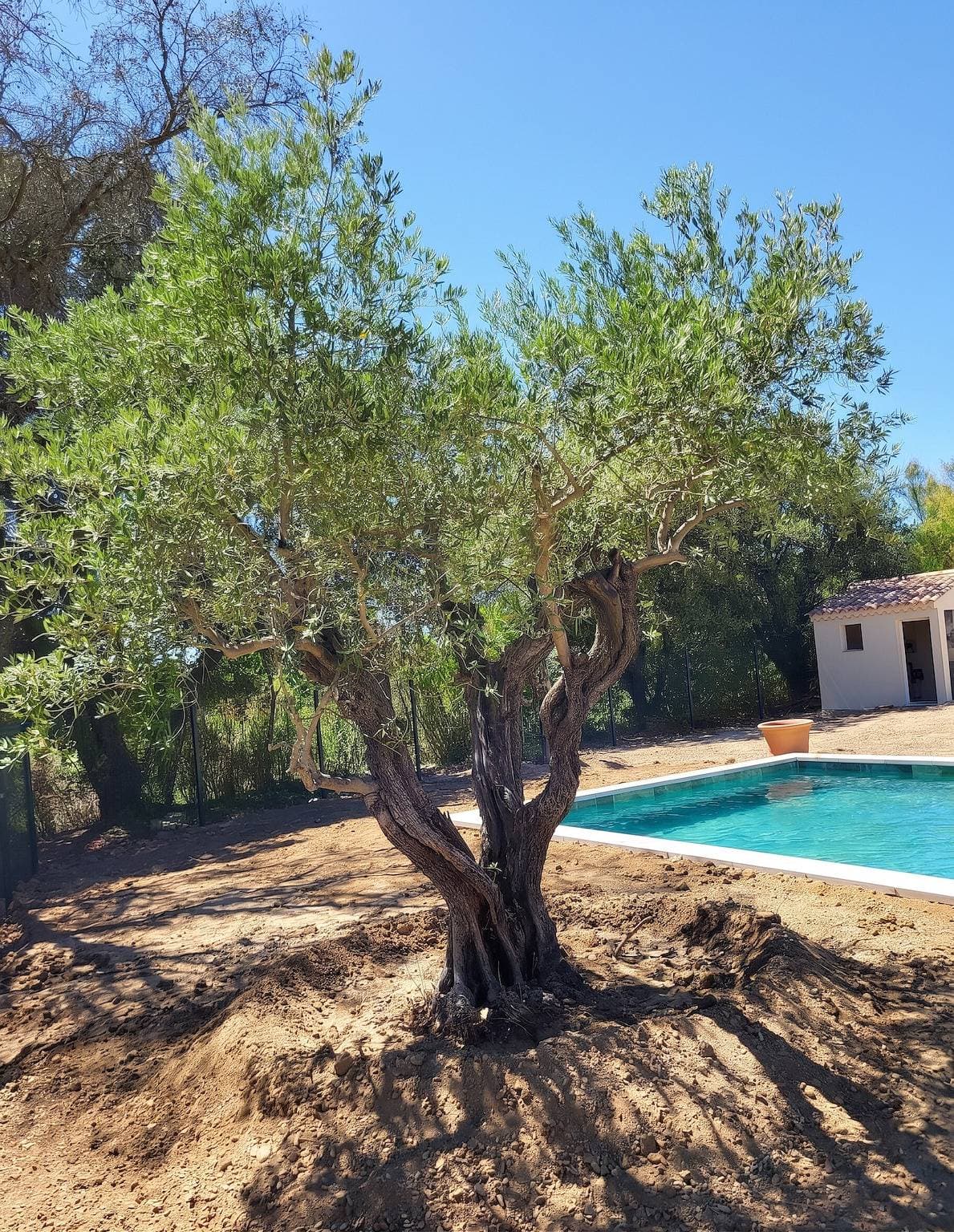 Foto 13 von 14: Wunderschöne Villa mit privatem Pool in Aubignan