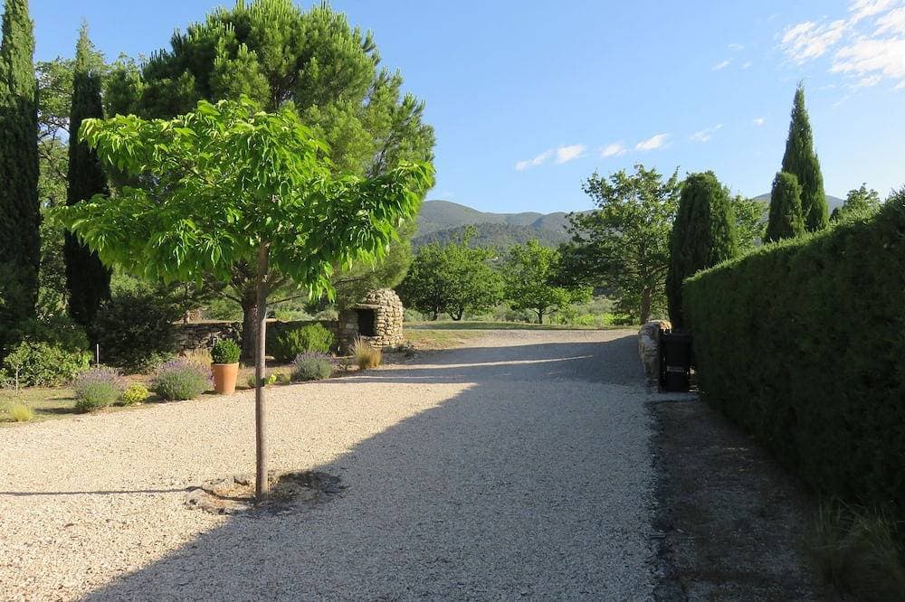 Foto 13 von 24: Das Ferienhaus 'Les Euphorbia' ... Olivenbäume, .. Zikaden, Provence ...