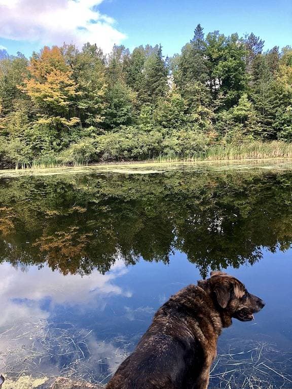 Dantes Den in der Natur 1