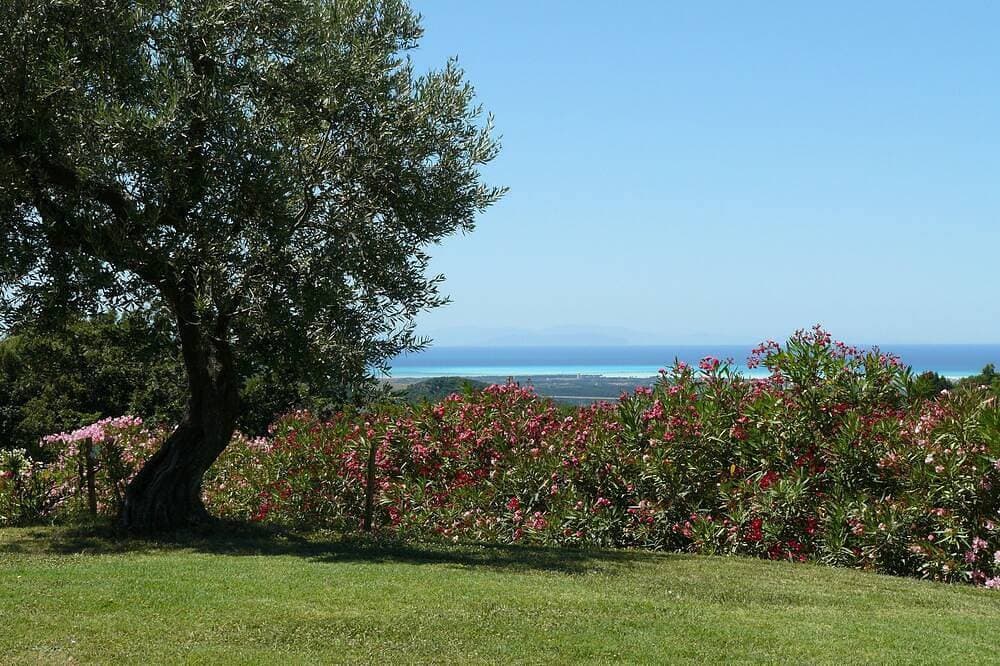 Foto 8 von 23: Traum Villa mit spektakulärem Blick an der Etruskischen Küste