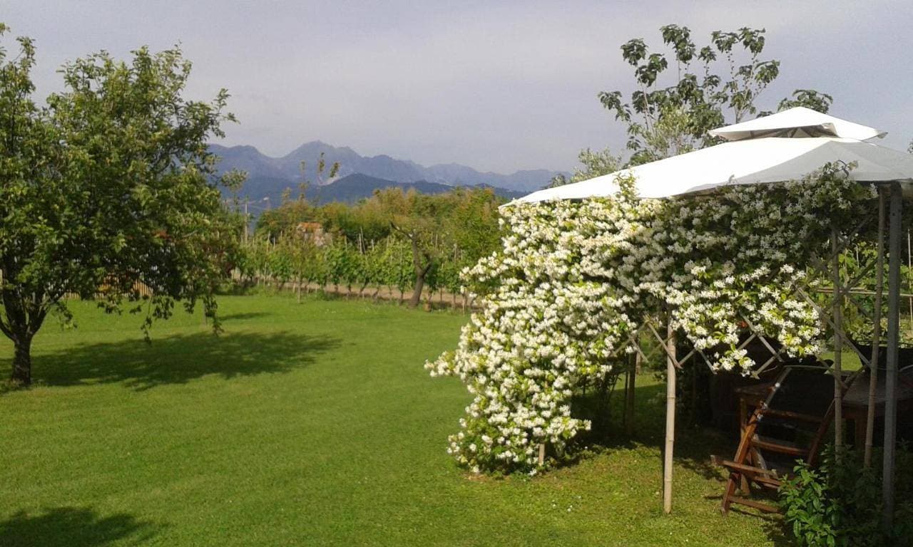 Foto 8 von 30: Holiday Home