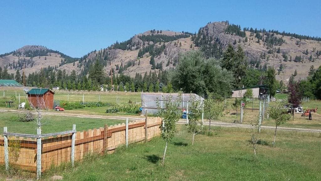 Foto 11 von 12: Gemütliche Hütte im Kettle Valley