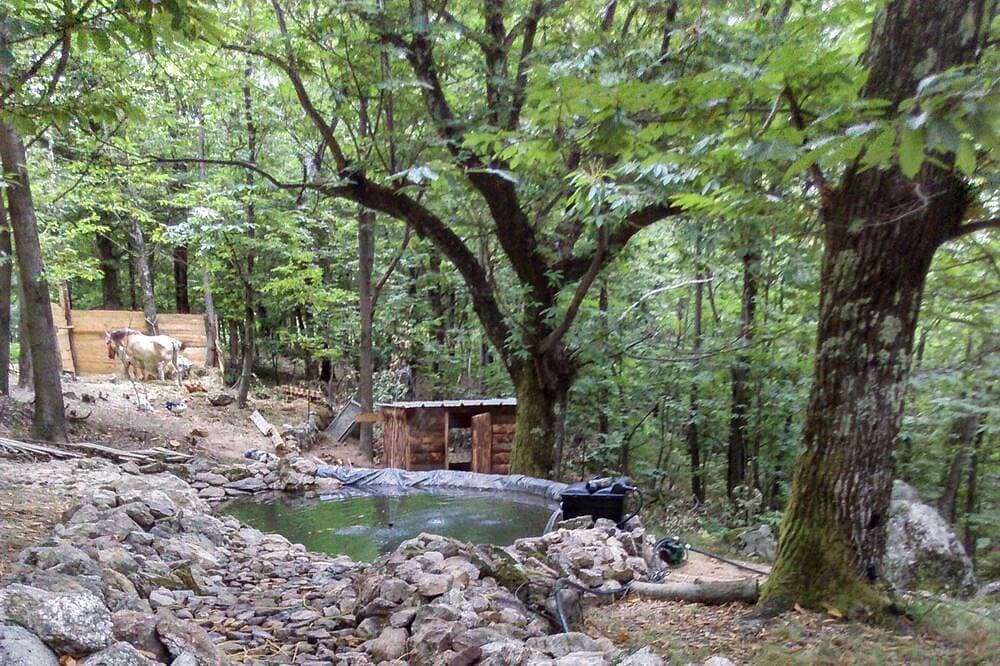 Foto 4 von 16: Roulotte Bleuet, in einer natürlichen Umgebung