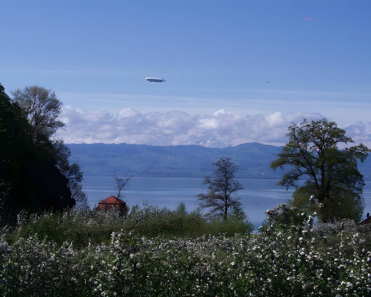 Foto 6 von 19: Ferienwohnung '1' mit Gemeinschaftsgarten, Balkon und Wi-Fi