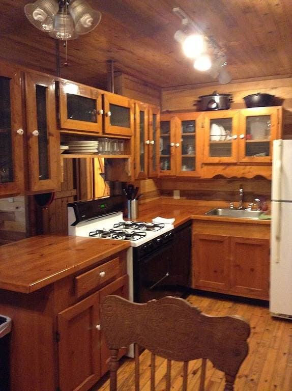 Cozy Nord Ga Mountain Cabin 1