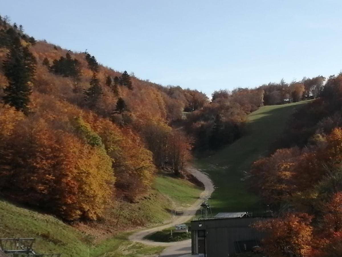 petit nid montagnard 1