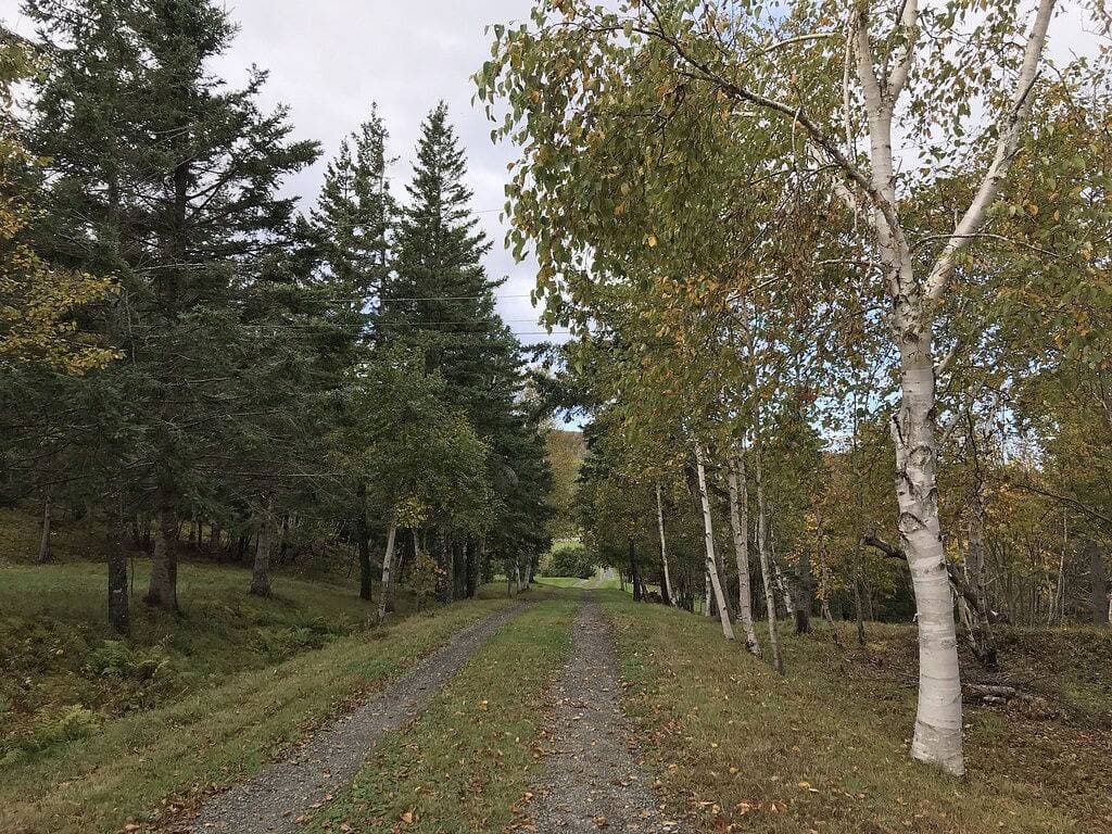 Foto 2 von 39: Margaree-a-ville Cottage