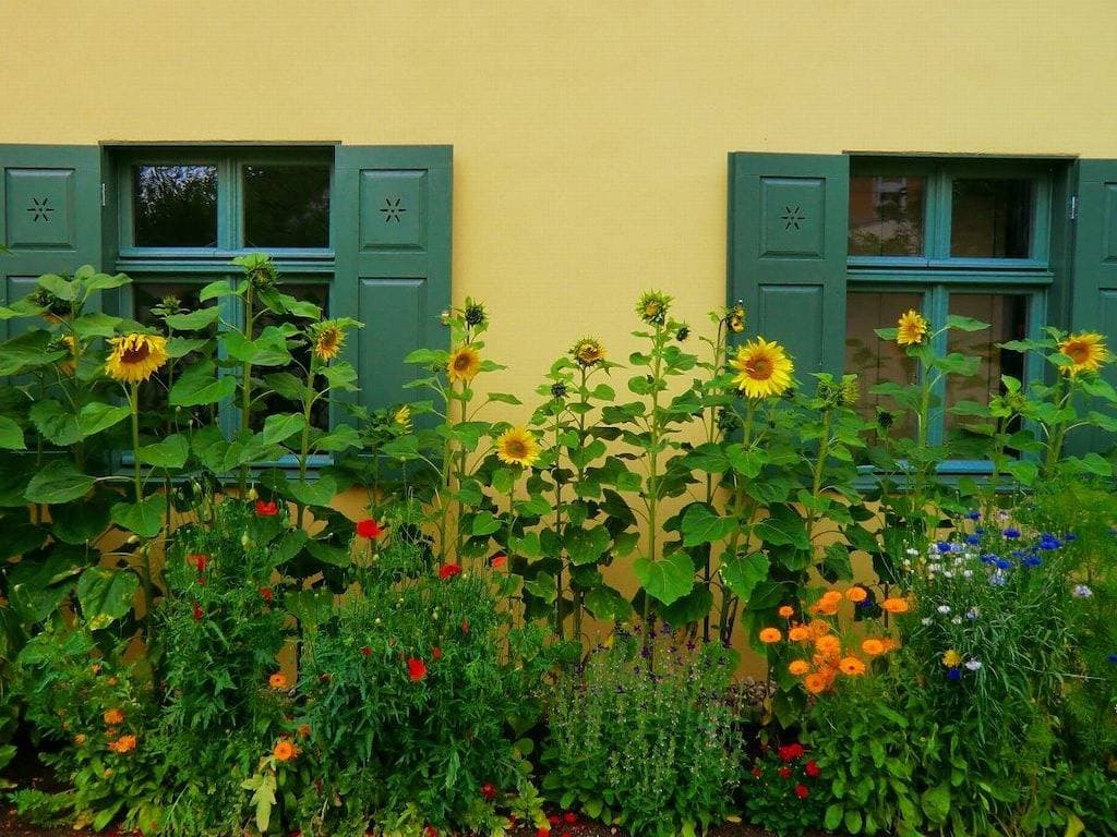 Foto 3 von 20: Ferienwohnung mit 1 Schlafzimmer