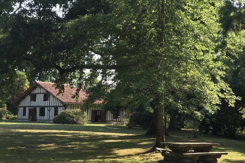 Traditionelles französisches Bauernhaus, wunderschön renoviert mit einem Pool im Wald 1