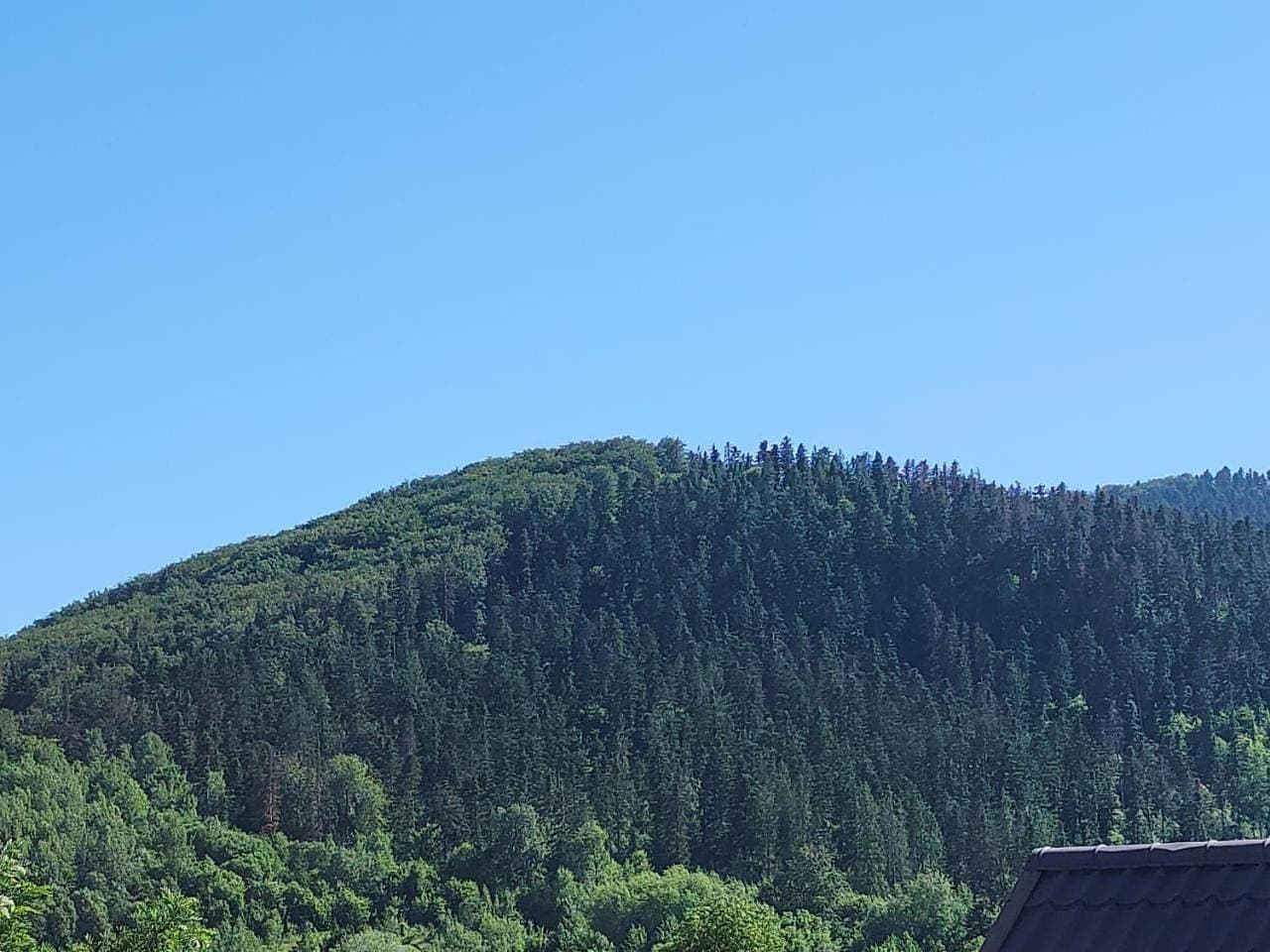 Foto 8 von 10: Studio with Mountain View