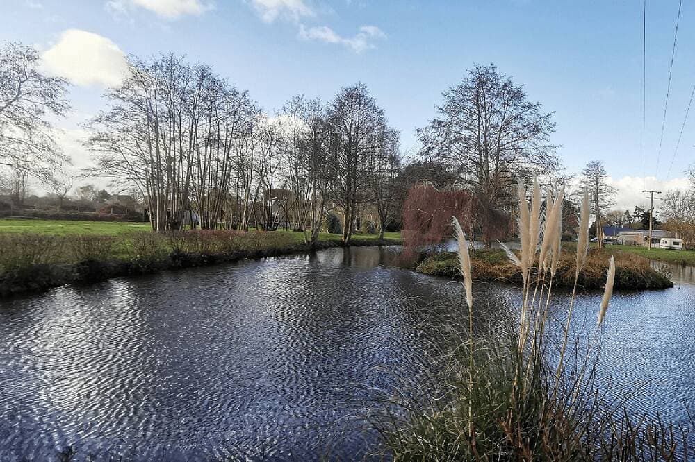 Foto 10 von 21: Comfortable individual lodgings in a natural setting.