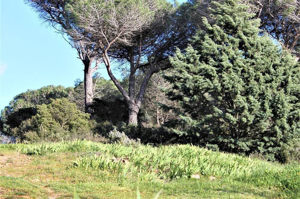 Foto 8 von 19: Ein Ferienhaus Senteurs De Garrigue bietet Ruhe und Frieden in einer Ecke der Natur