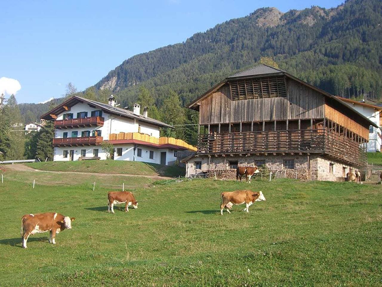 Foto 10 von 40: Apartment „Kompatscherhof Moritz“ mit Bergblick, Balkon und WLAN