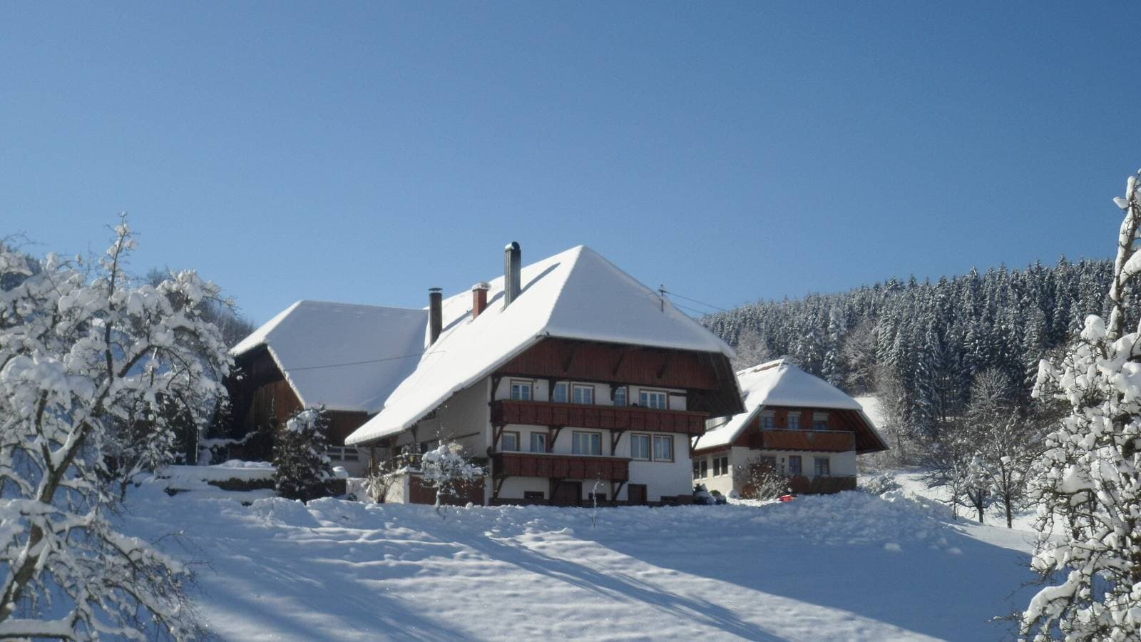 Foto 7 von 24: Ferienwohnung "Biesleblick" mit Bergblick, Gemeinschaftsgarten und WLAN