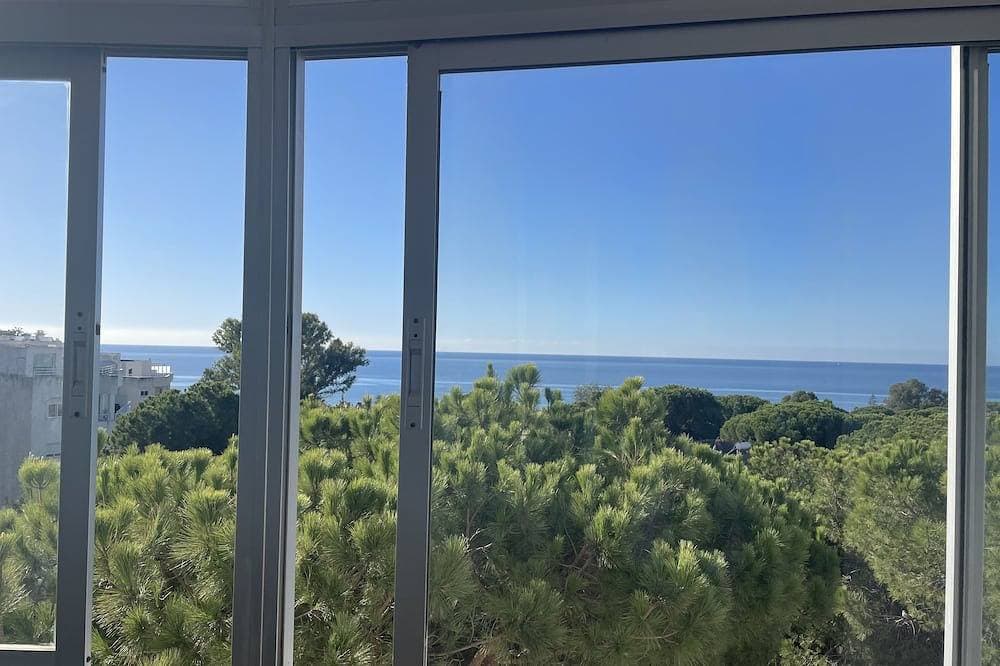 Beautiful coast 1