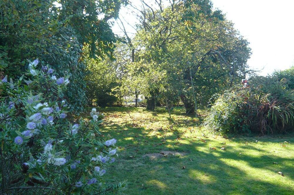 Foto 10 von 19: \"Chestnut, between land and sea