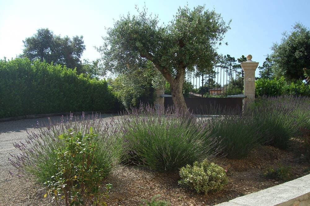 Foto 9 von 30: Villa Verdi D Luft-Wohnung mit Terrasse und privatem Garten Pool