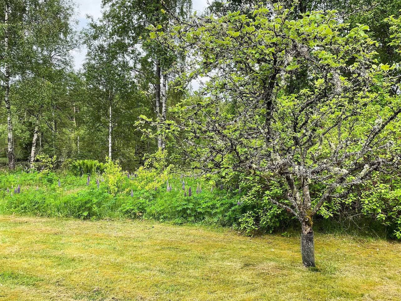Foto 9 von 29: 4 Personen Ferienhaus in Håcksvik