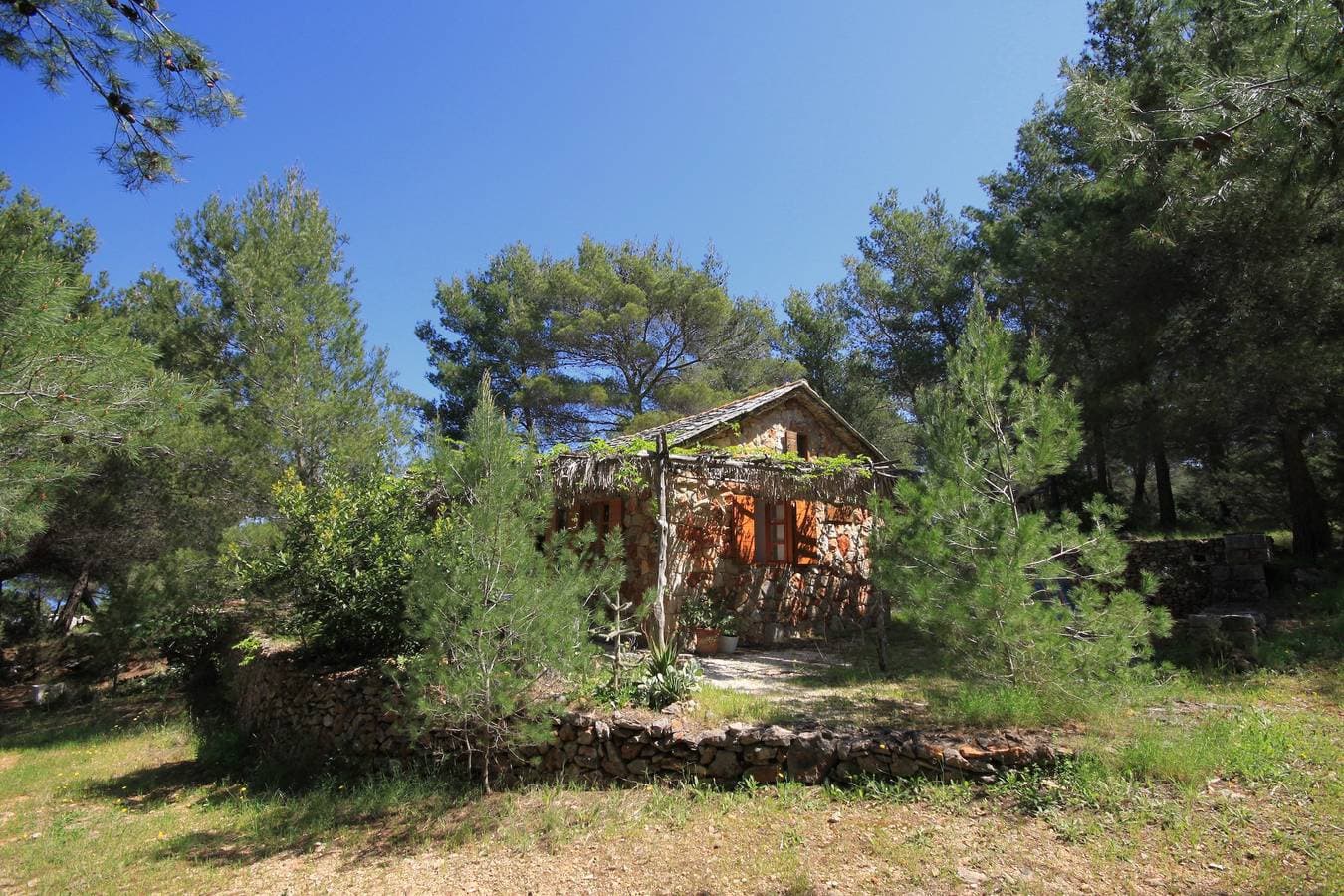 Foto 3 von 30: 1-Zimmer-Haus am Strand Bucht Grebisce, Hvar