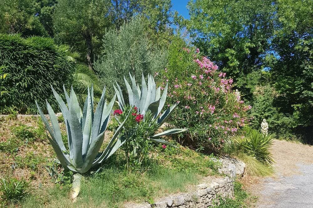 Foto 9 von 17: The Medieval Oasis