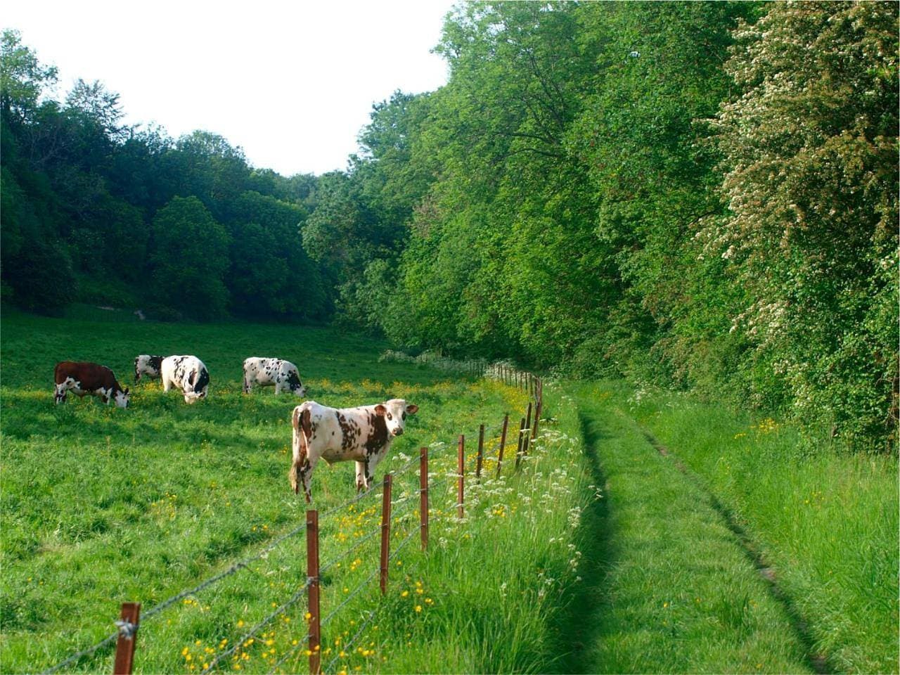 Foto 12 von 23: Holiday Home