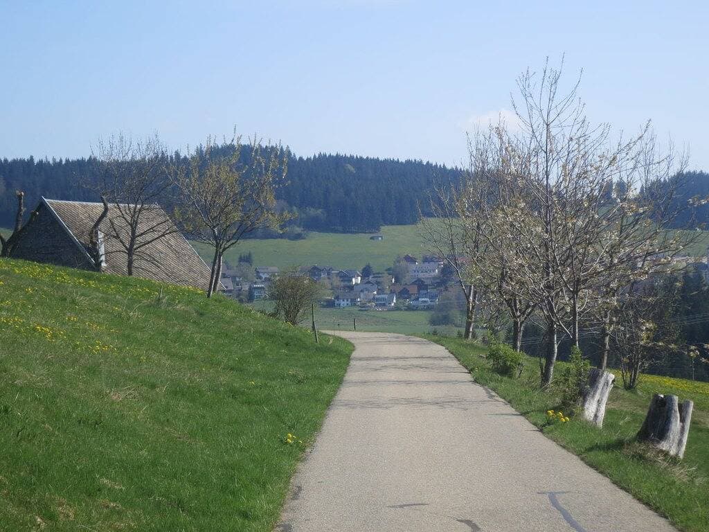 Foto 6 von 25: Ferienwohnung in Breitnau mit Wifi